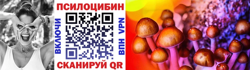 Псилоцибиновые грибы прущие грибы  Купить закладки  Гаврилов-Ям 
